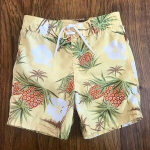 Vintage Gymboree pineapple swimtrunk Shorts